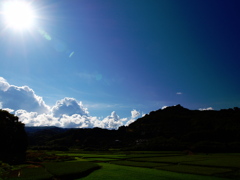 ある夏の一日