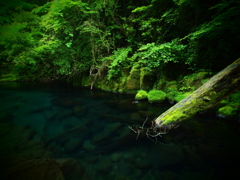 蒼き清水