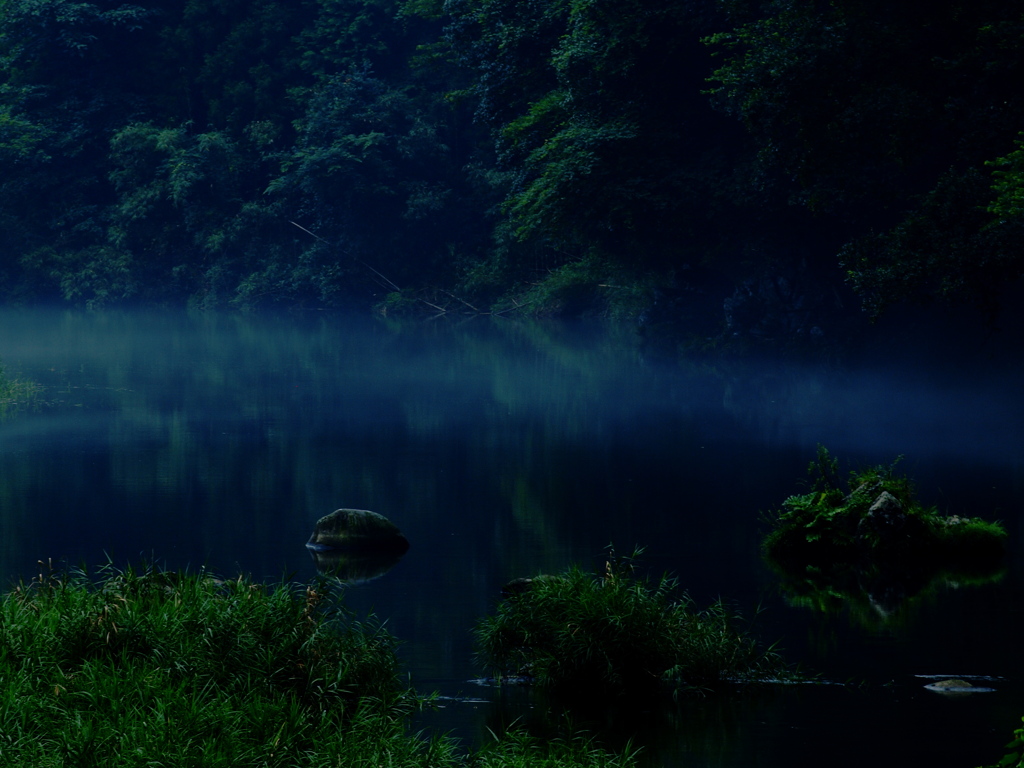 夏の川霧