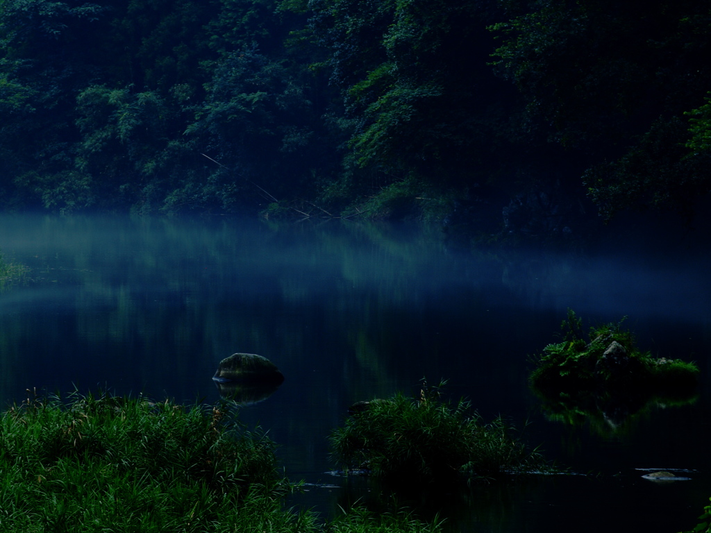 夏の川霧