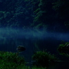 夏の川霧