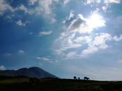 空と山と馬