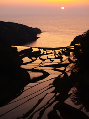 黄昏の棚田