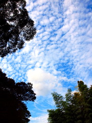 秋空