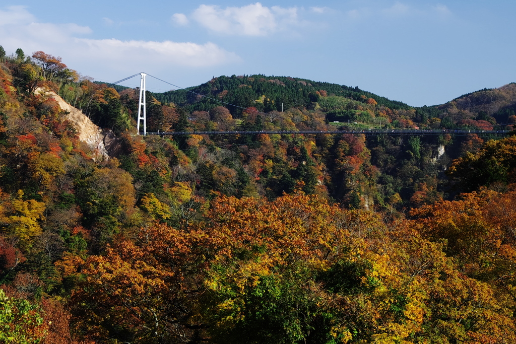 紅葉にかかる夢大橋