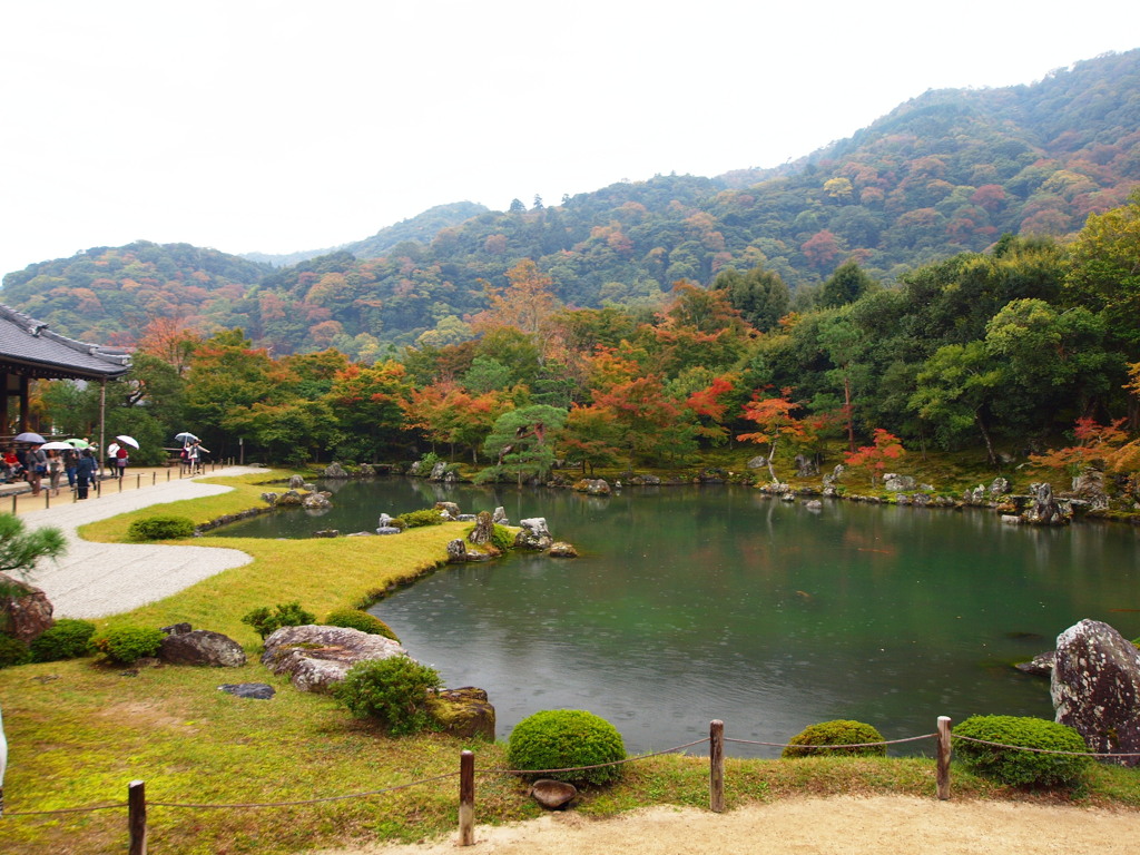 紅葉　和の庭園を彩る