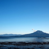 冬晴れの桜島