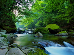 思い出す夏の緑