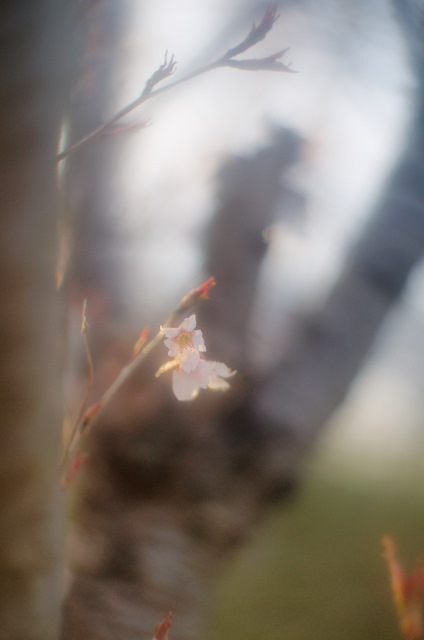 Old Lenses ⑦