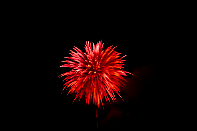 2011 Fire Flower 1