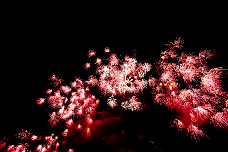 2011 Fire Flower 2