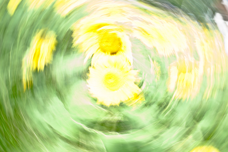 Dazzle
