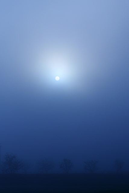 朝霧