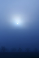 朝霧