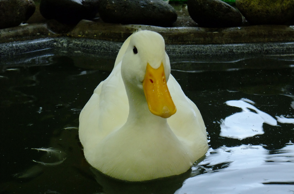 おまる