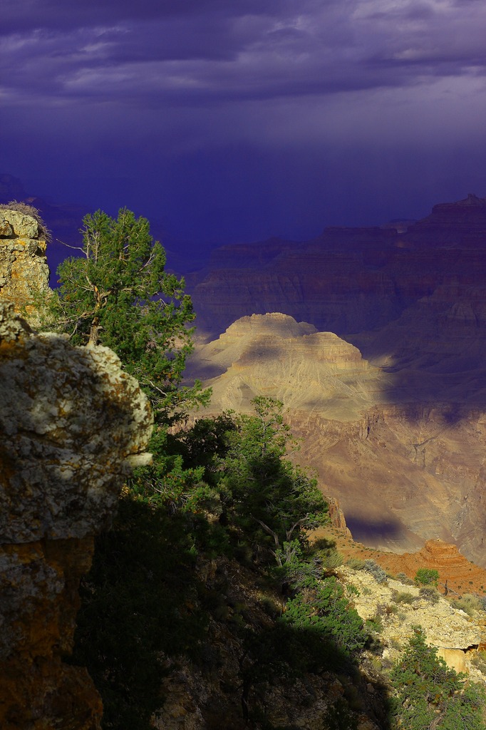 Grand Canyon_4