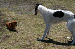 そばにこないで！！