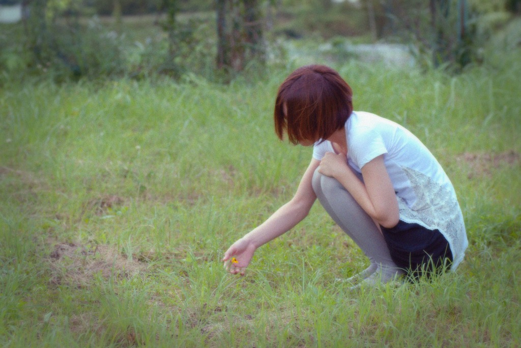 野に咲く花　二輪