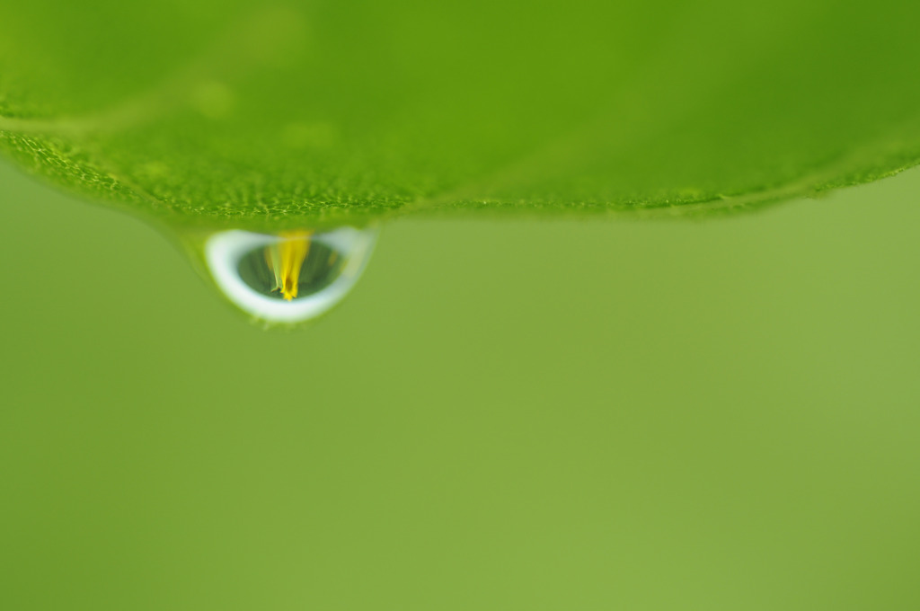 Parallel　world