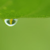Parallel　world
