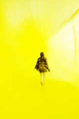 The yellow world