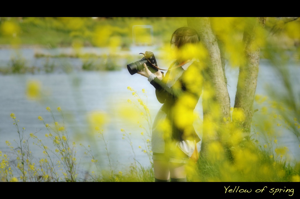 Yellow of spring