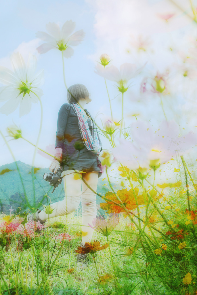 Cosmos Dream
