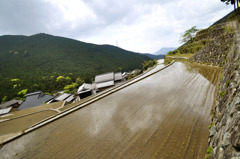 石垣のある景色