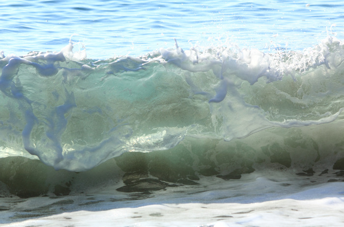 海のゼリー