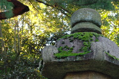 IMGP0789