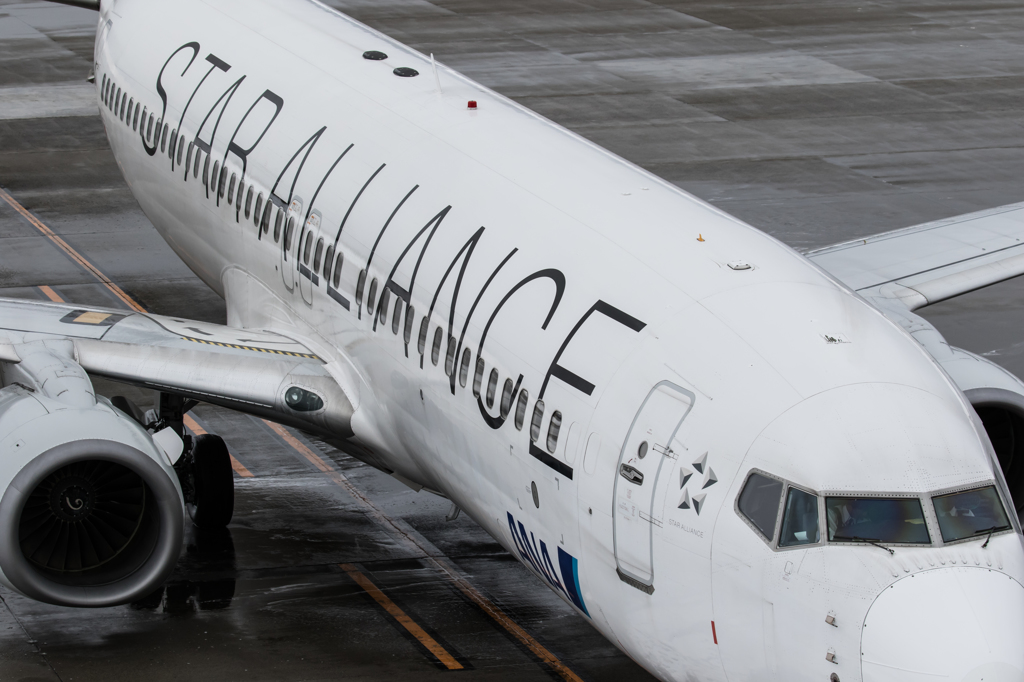 ＳＴＡＲ　ＡＬＬＩＡＮＣＥ