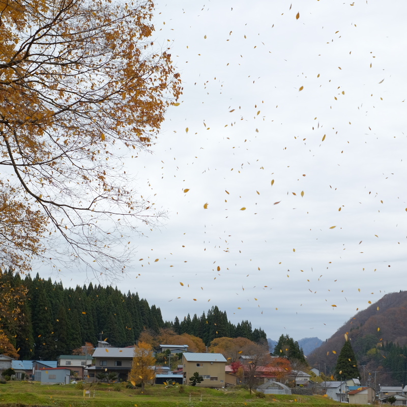 落葉の里
