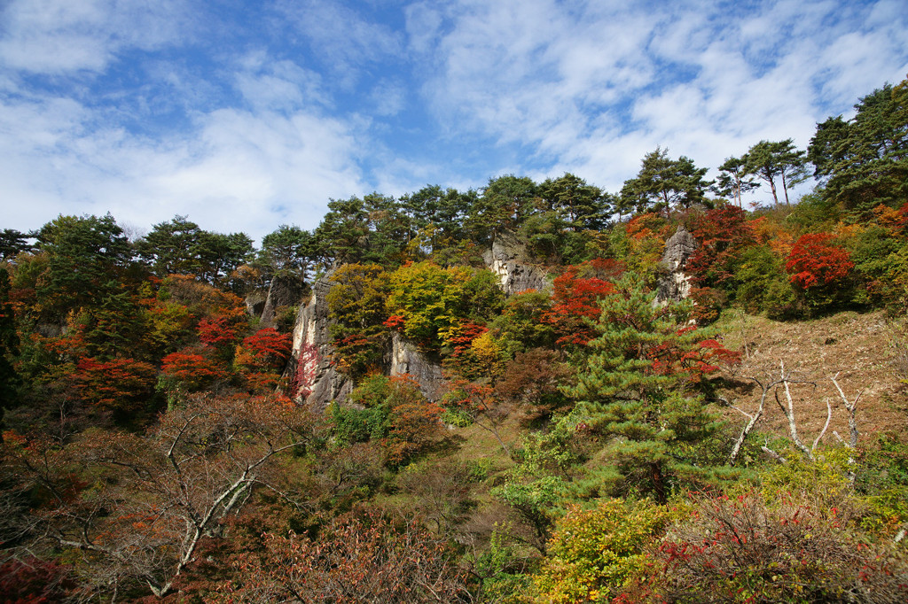 きみまち阪公園