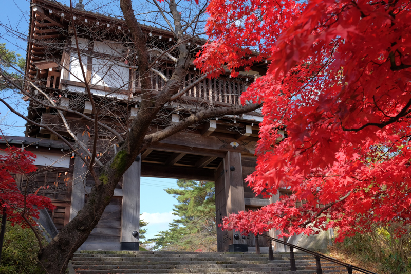 千秋公園2014