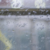今日もまた雨・・