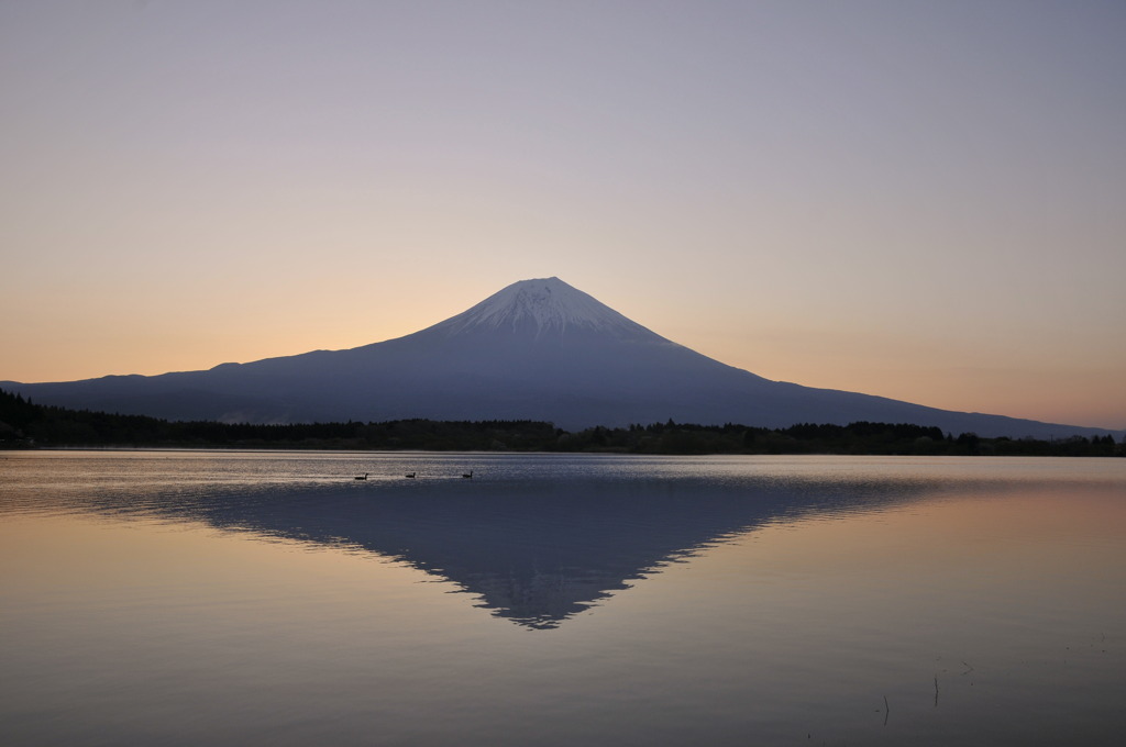 富士山