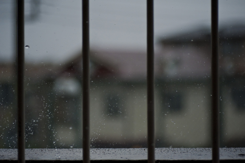 今日も雨