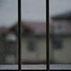 今日も雨