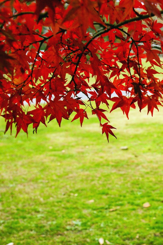 DSC00576_R