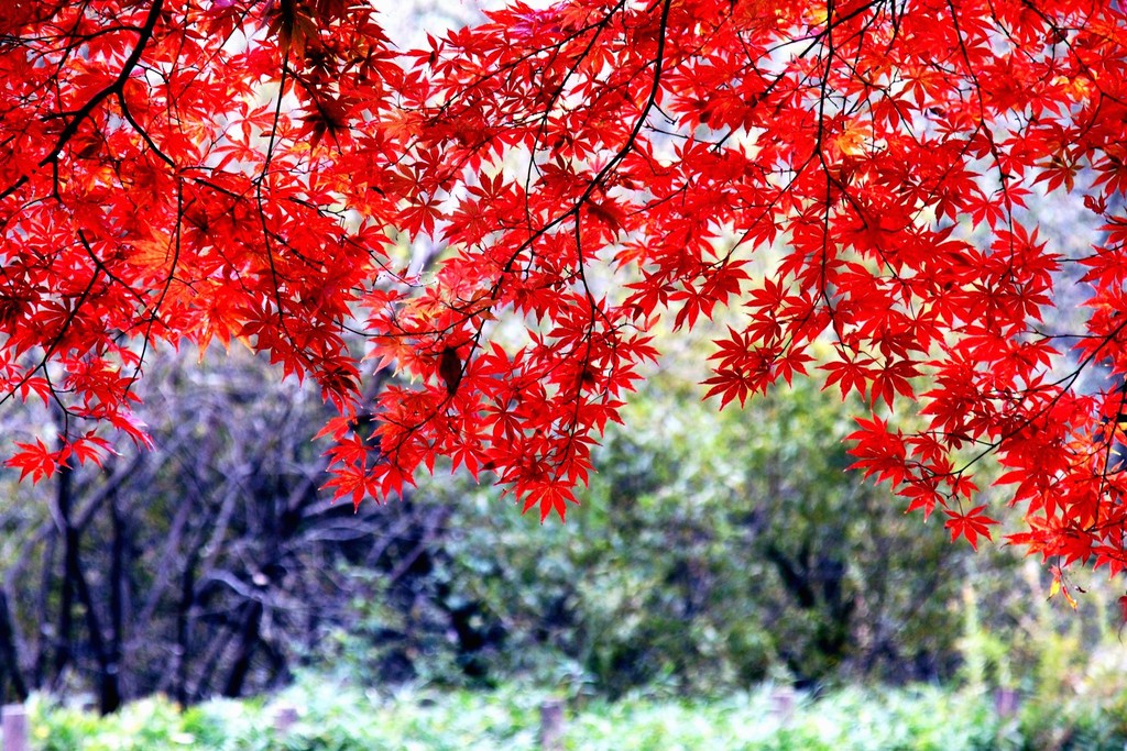 DSC00405_R