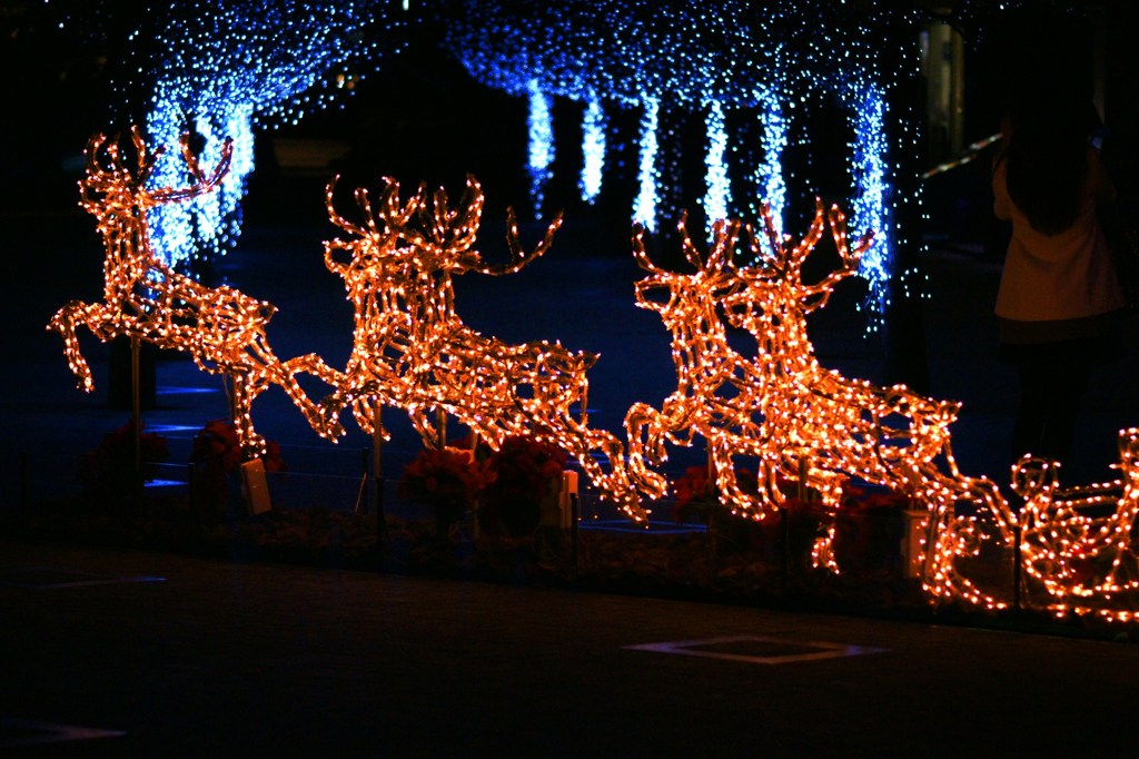 夢を乗せて、空へ