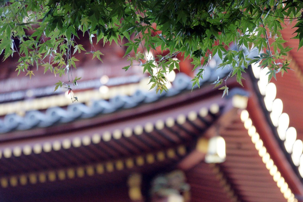 定番の風景