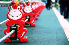 こんなものは珍しいでしょう？