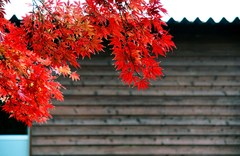 DSC00402_R