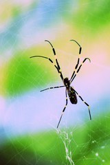 構え、どうする？