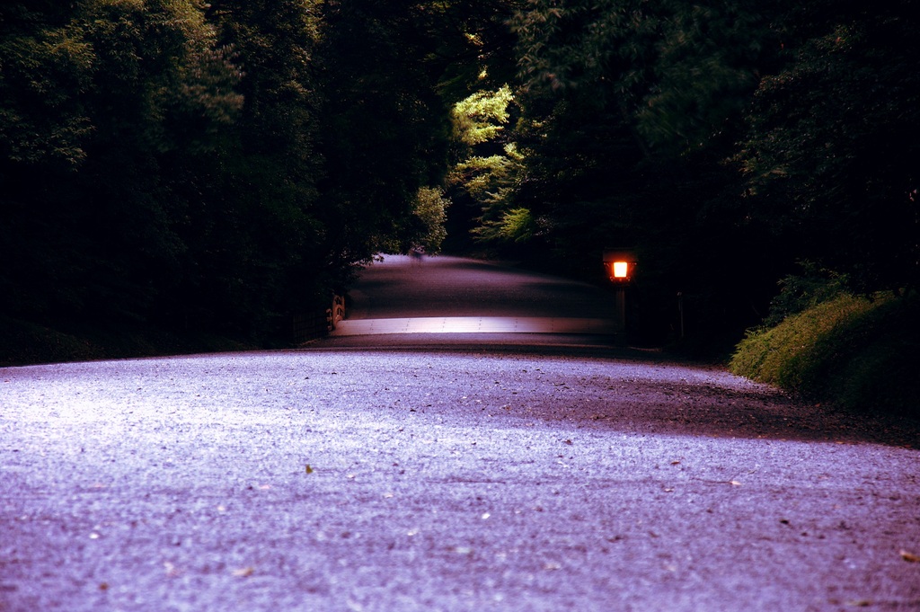 夕暮れの無人参道