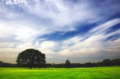 こんな空、ずっと眺めていたい