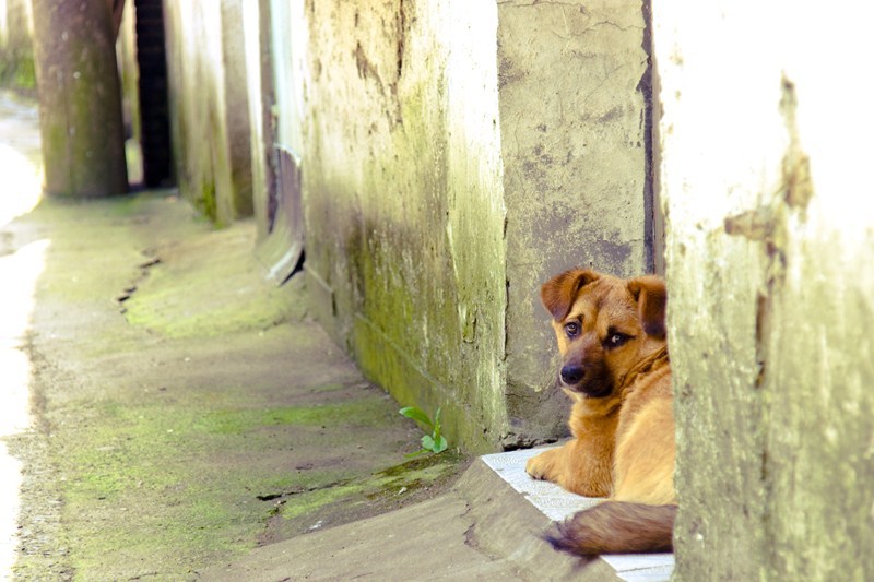 休憩中だったようで
