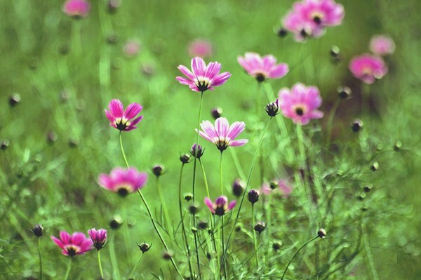 仲良く並ぼう！