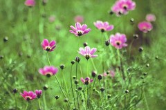 仲良く並ぼう！